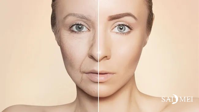 能让你一文就全面了解：刷爆朋友圈的NMN