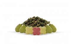 燕窝复合植物**糖果oem贴牌代加工生产